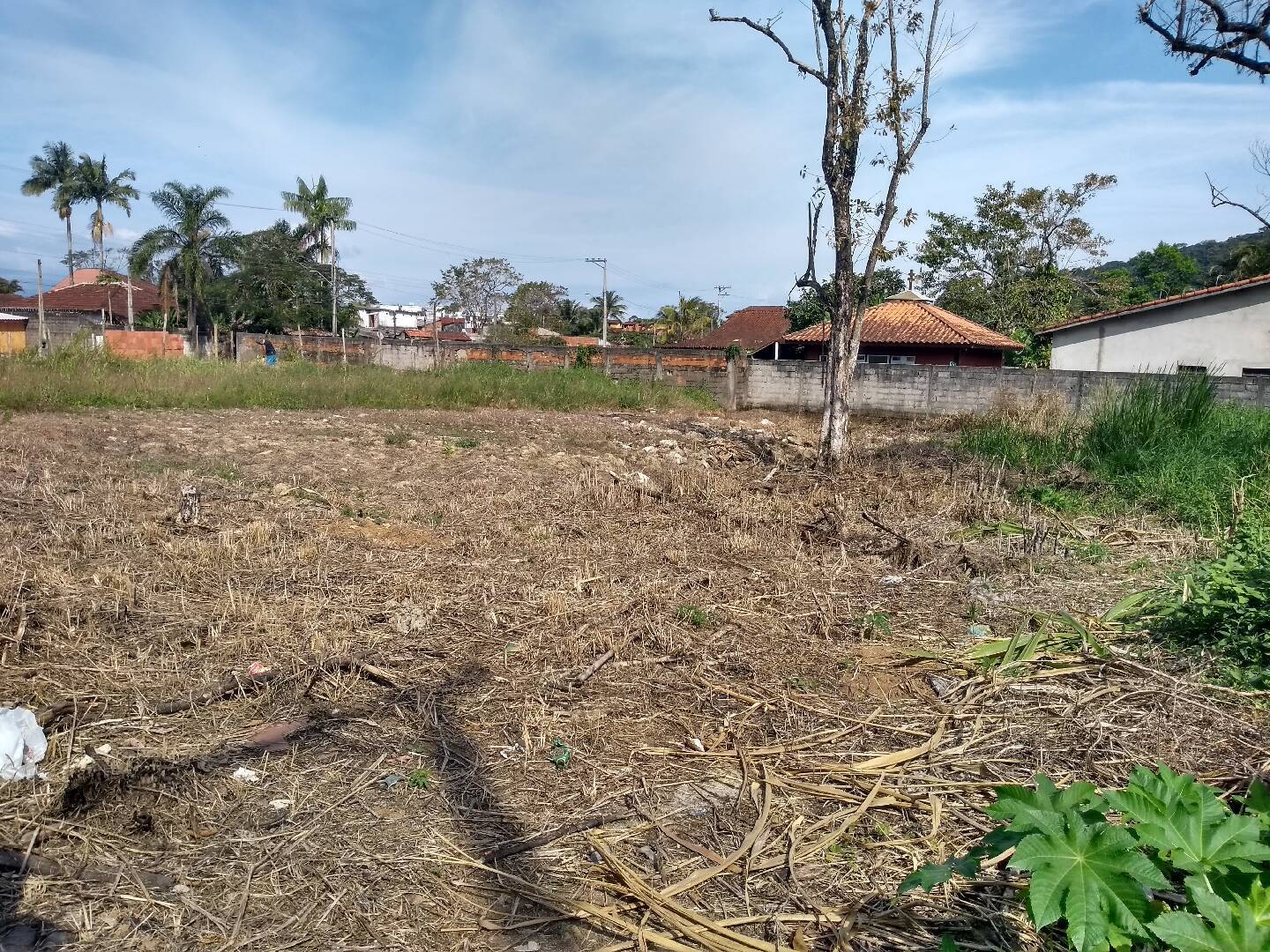 Terreno, 525 m² - Foto 2