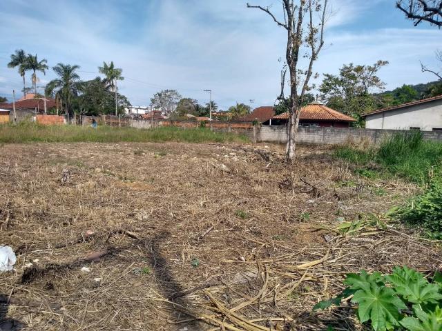 #2104 - Terreno para Venda em Caraguatatuba - SP - 2