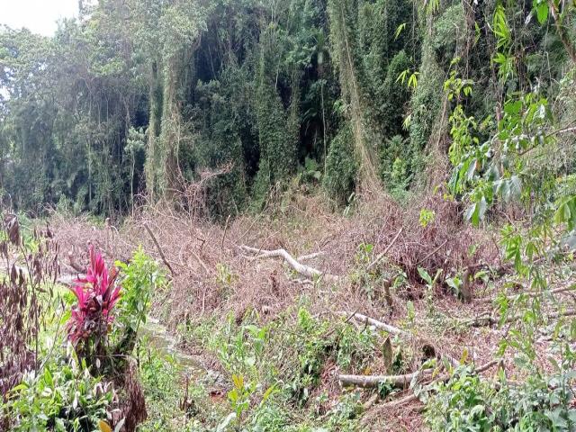 Terreno em condomínio para Venda em Caraguatatuba - 4