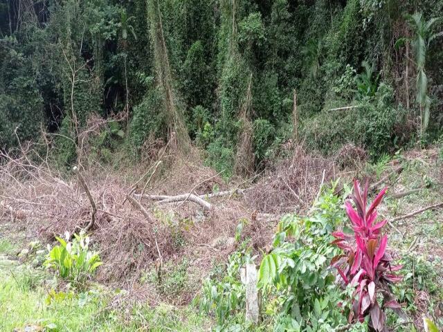 Terreno em condomínio para Venda em Caraguatatuba - 5