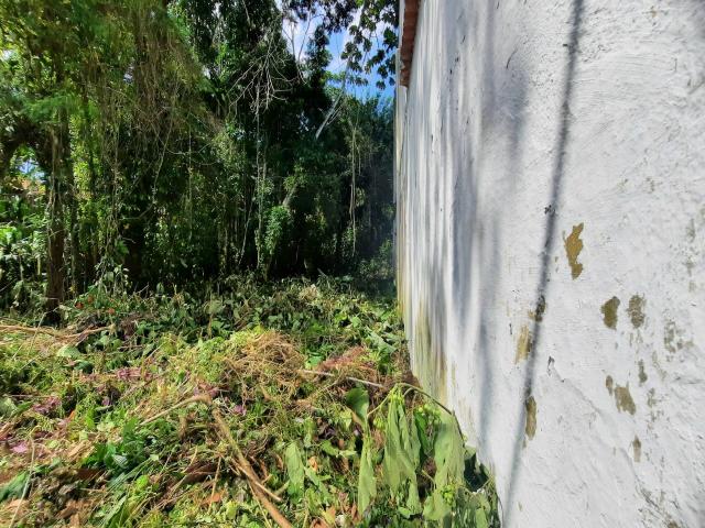Terreno para Venda em Caraguatatuba - 5
