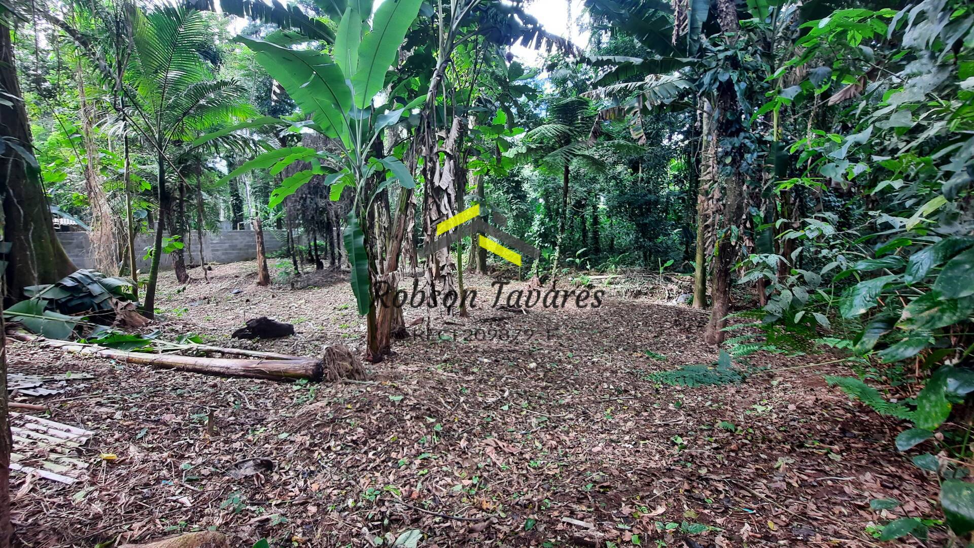 Terreno à venda, 583m² - Foto 3